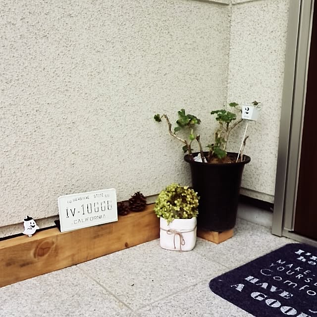 mintさんの実例写真