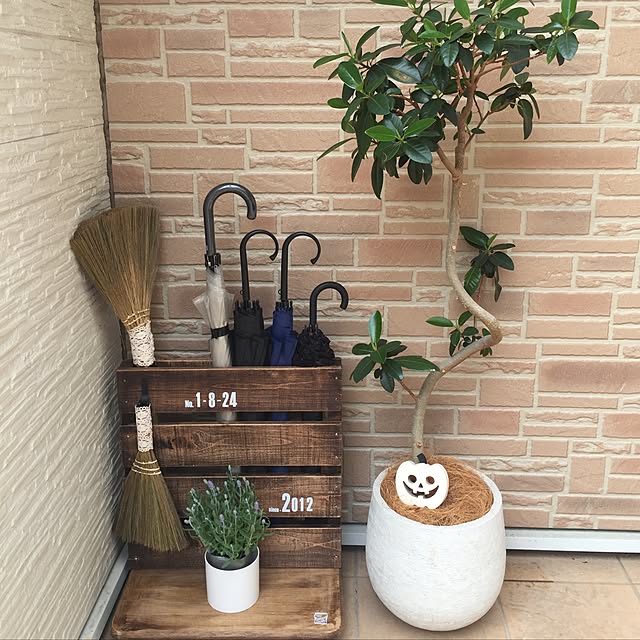 terumanjyuさんの部屋