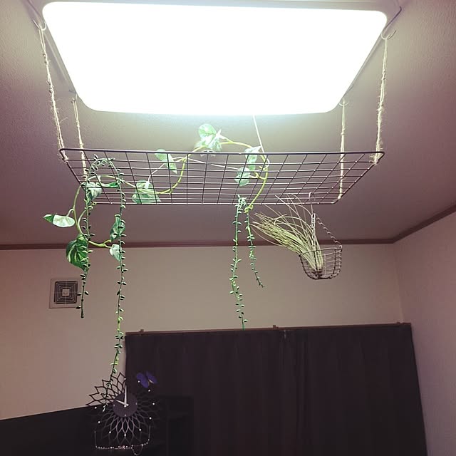 imetakaさんの実例写真