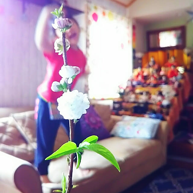 Miponappoさんの実例写真