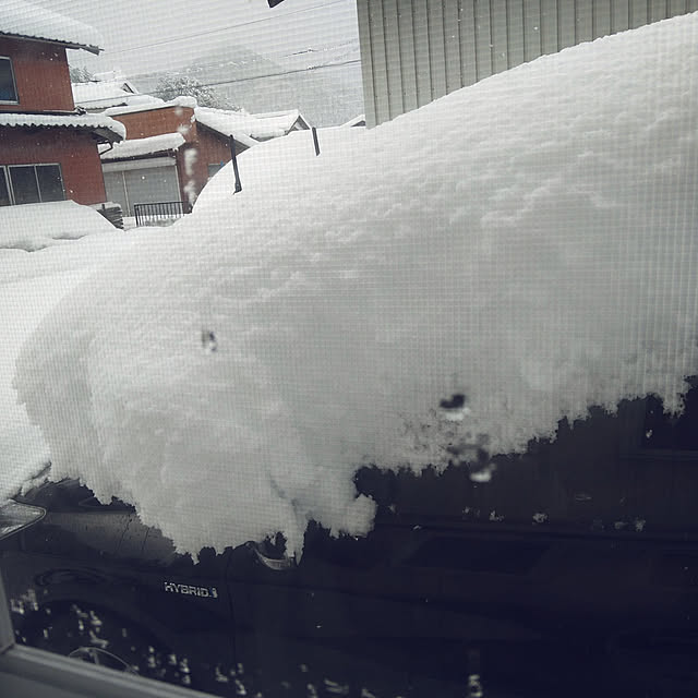 寒波到来(((;꒪ꈊ꒪;)))/大雪警報発令中/大雪！/雪かき大変！のインテリア実例 - 2020-12-31 11:09:15