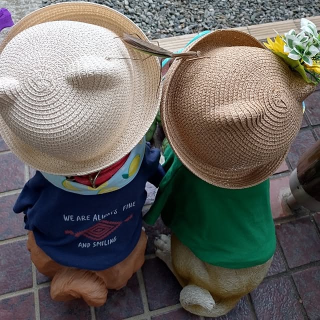 NOAHさんの部屋