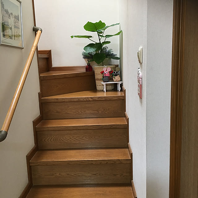 chIoeさんの実例写真
