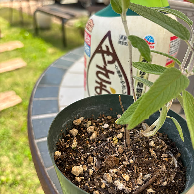 madeleineさんの実例写真