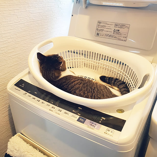 yu-riさんの実例写真