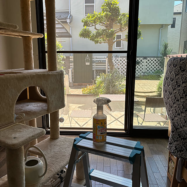 momocchiさんの実例写真