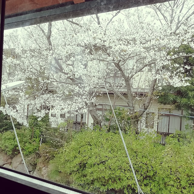 maimaimaikoさんの実例写真