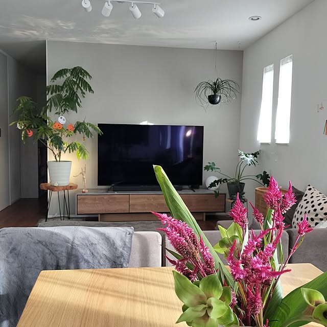 jamjamさんの実例写真