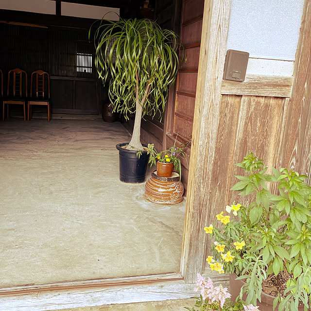 cota2さんの部屋