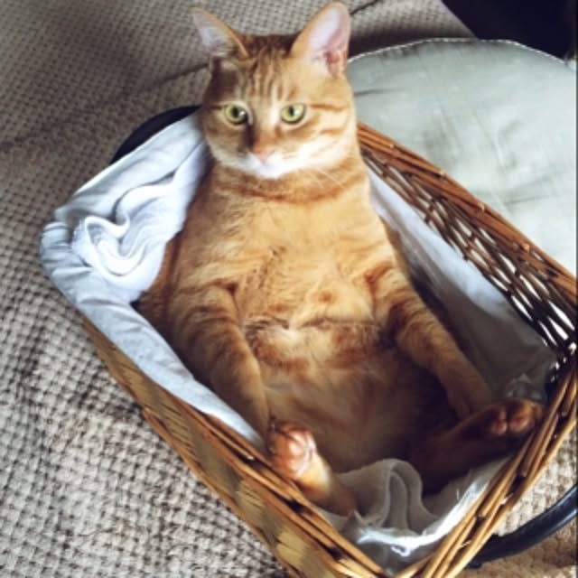 sksdt.2438さんの実例写真