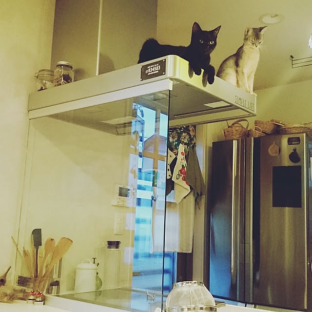 cloverさんの実例写真