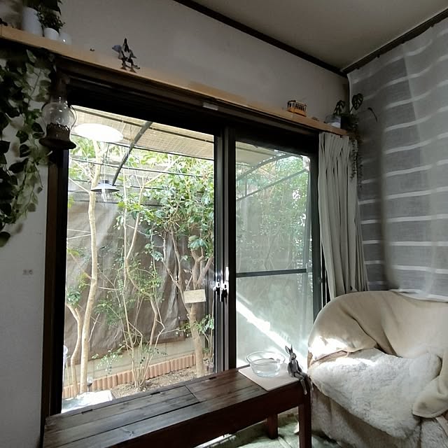 mori_6_12さんの部屋