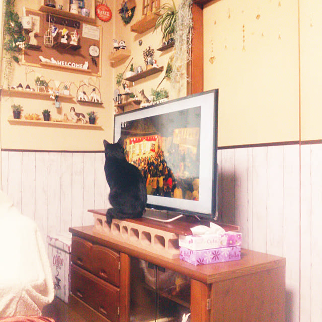 Tomopさんの実例写真