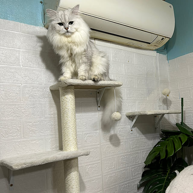 ikunyanさんの部屋