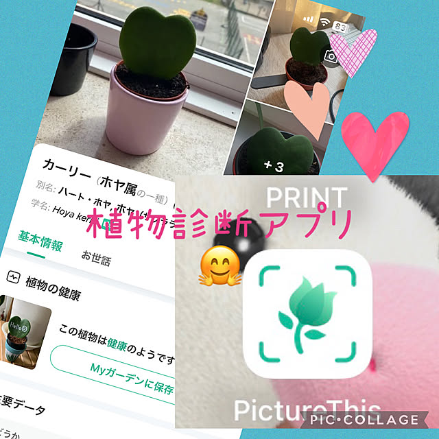 Aqettyさんの実例写真