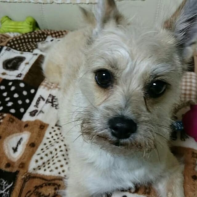 runaさんの実例写真