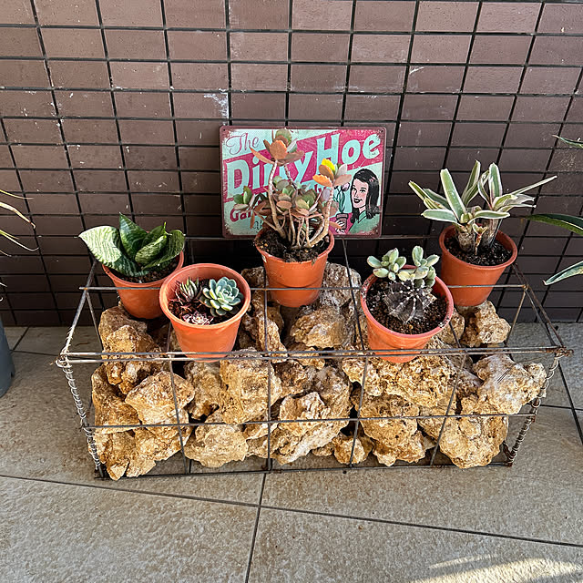 yuipyappさんの実例写真