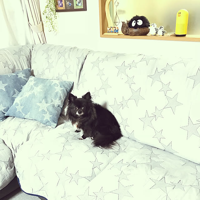 eriさんの実例写真