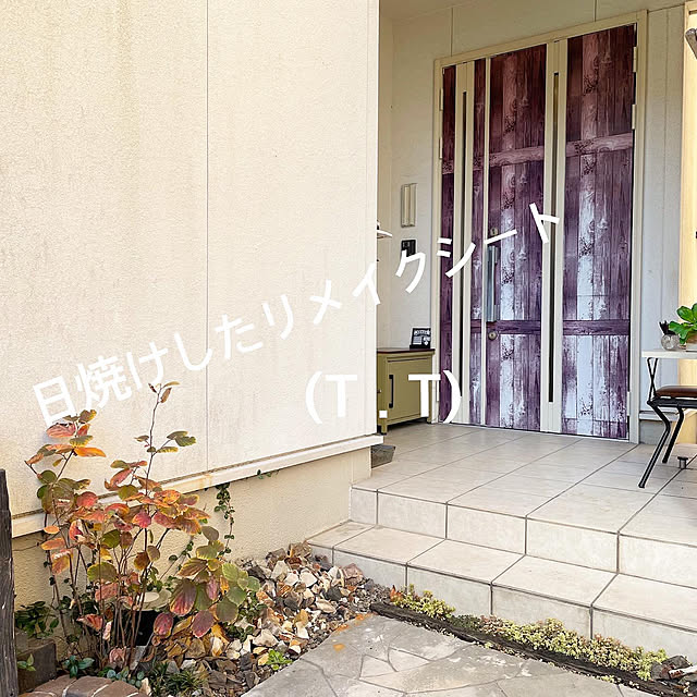 実例写真