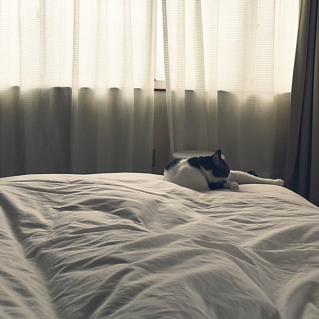 Shihoさんの実例写真