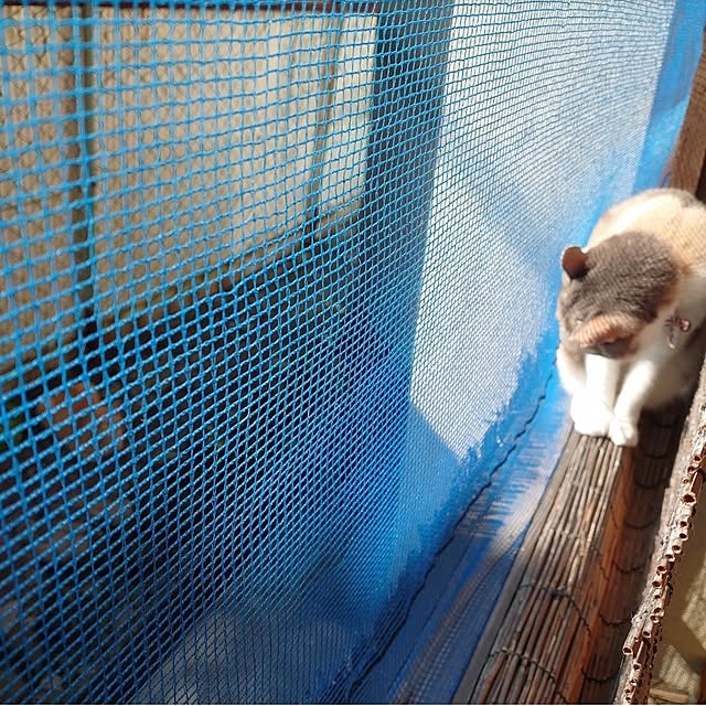 fukuさんの部屋