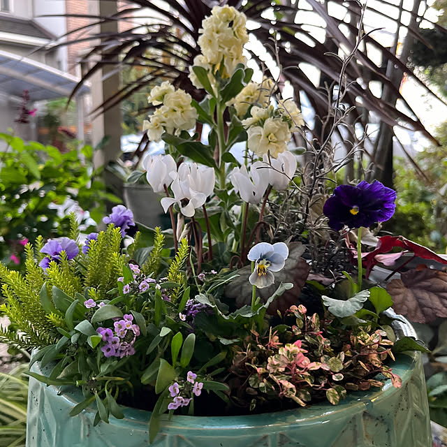 yukarin-gardenさんの部屋