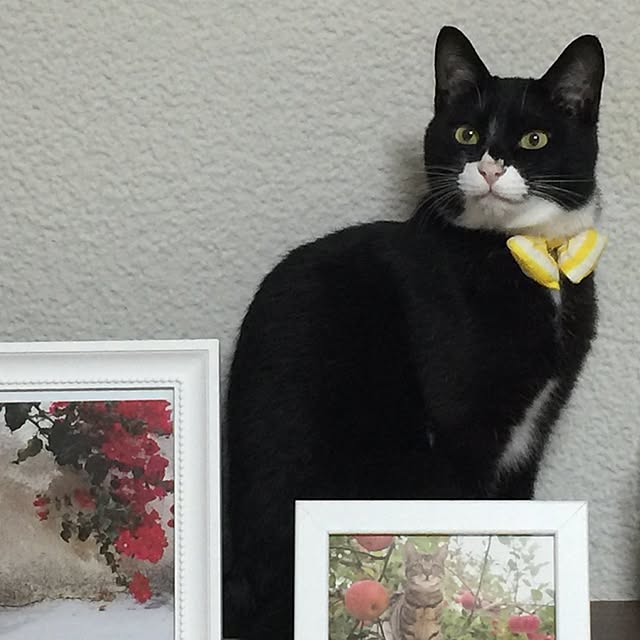 mtkさんの実例写真