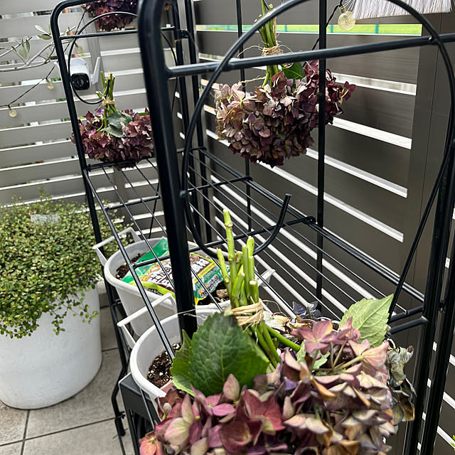tomokokoさんの部屋