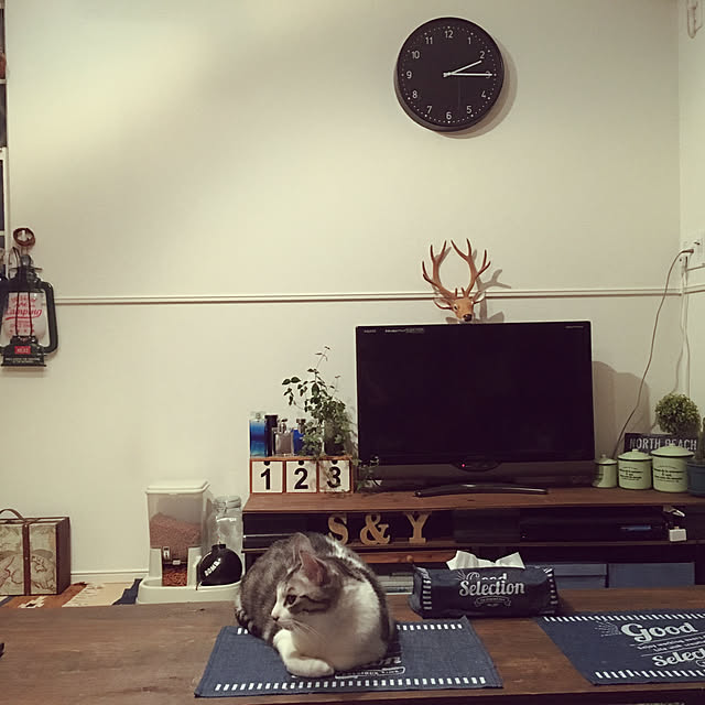 mgmさんの実例写真
