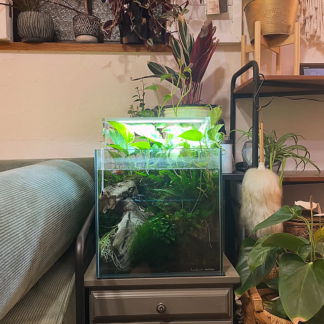 kuroさんの部屋