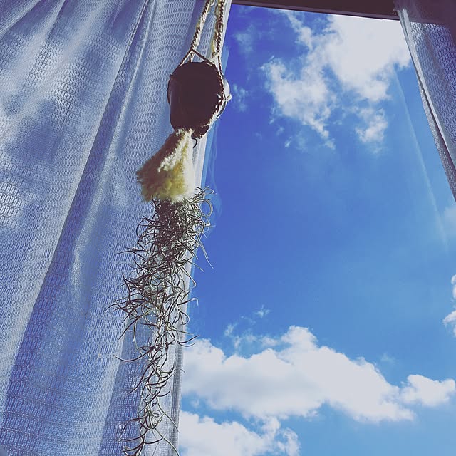 NORAさんの実例写真
