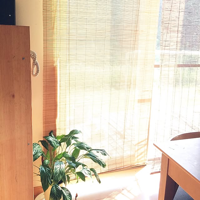 RiLicoさんの実例写真