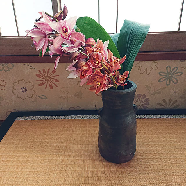 kakkaさんの実例写真