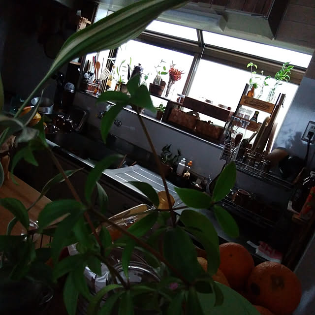 Brown.Lifeさんの実例写真