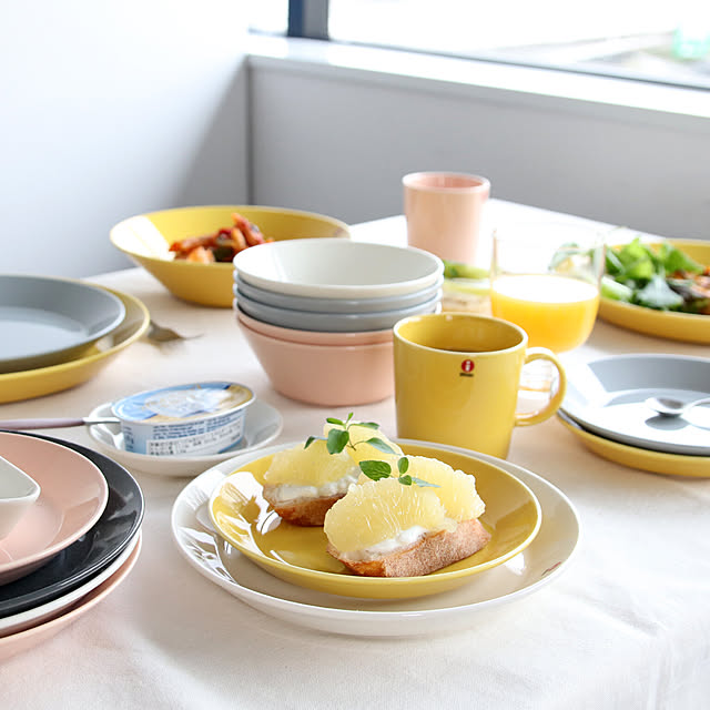 イッタラ ティーマ パウダー ボウル 15cm iittala Teema 【耐熱