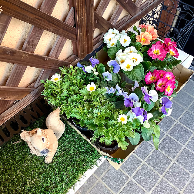 Ma-saさんの実例写真