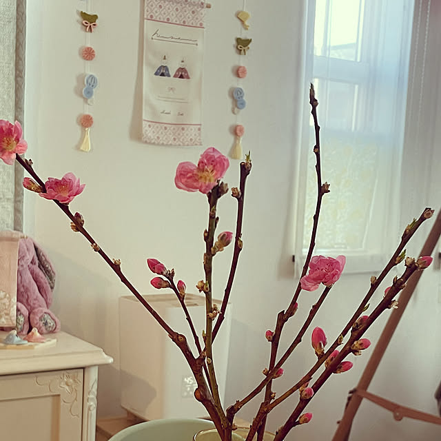 1ove0v01oveさんの実例写真