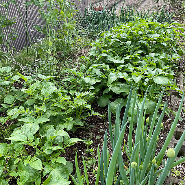 natsumiさんの部屋