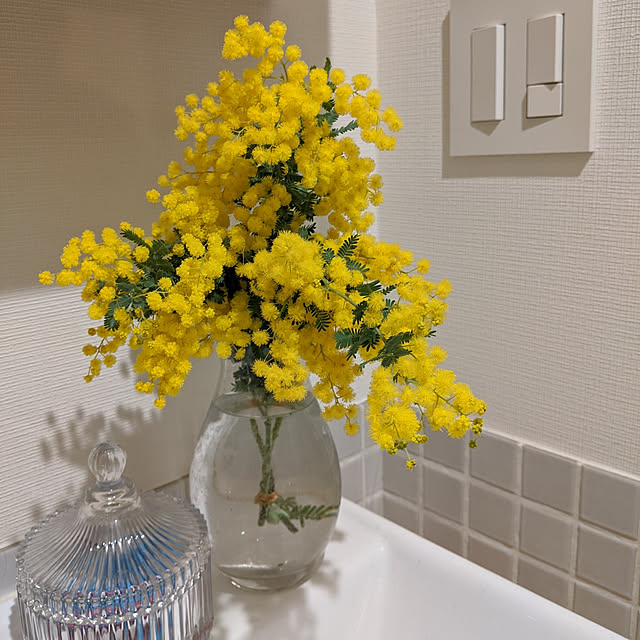 green-in-houseさんの実例写真