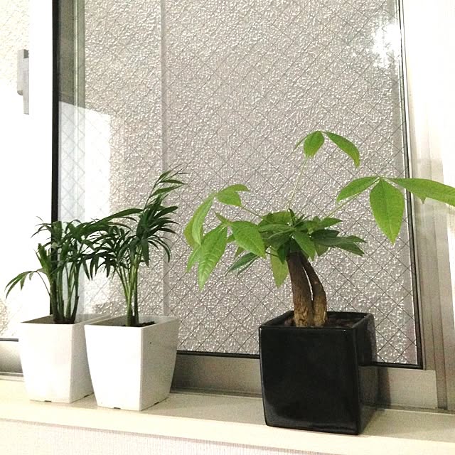 Maikaさんの実例写真