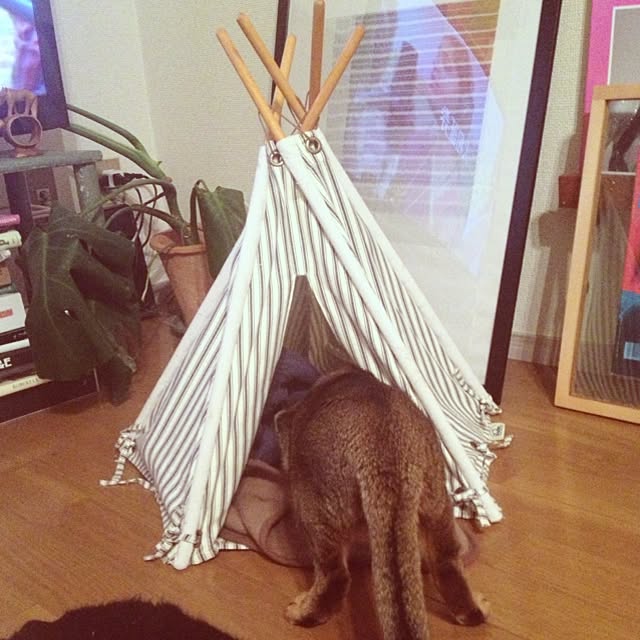 sayakanさんの実例写真