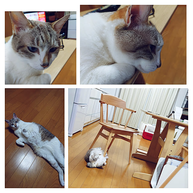 nachiさんの実例写真