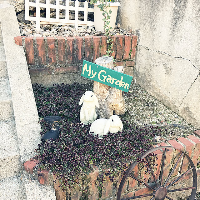 mieさんの実例写真