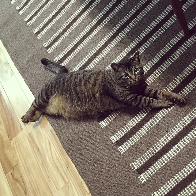 momi_momieさんの実例写真
