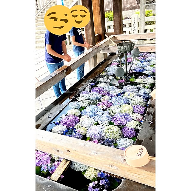 実例写真