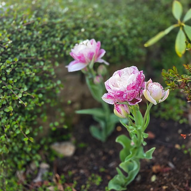 MARIE.color.interiorさんの部屋