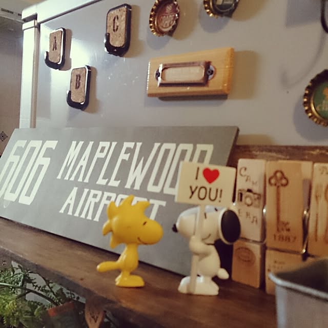 lovesnoopyさんの実例写真