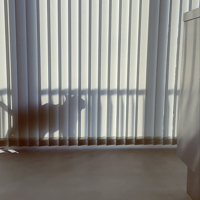 chihiroさんの実例写真