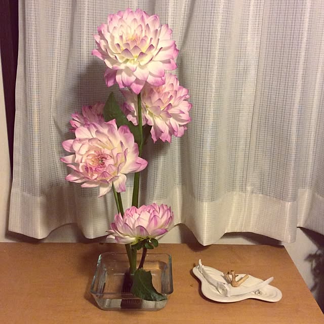 実例写真