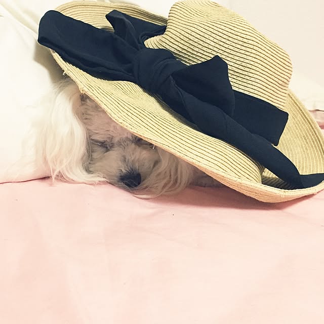 sei.hugさんの実例写真
